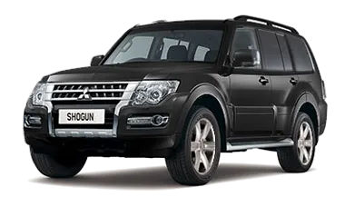 MITSUBISHI Remapping